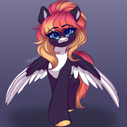 Size: 2000x2000 | Tagged: safe, artist:skyboundsiren, oc, oc only, oc:sunrise virtue, pegasus, pony, bangs, coat markings, countershading, facial markings, female, gradient background, high res, looking at you, mare, pegasus oc, signature, sketch, smiling, snip (coat marking), solo, spread wings, wings