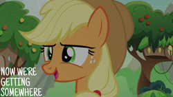 Size: 2000x1125 | Tagged: safe, edit, edited screencap, editor:quoterific, screencap, applejack, pony, g4, sounds of silence, caption, female, mare, solo, text