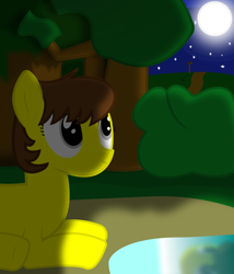 Size: 1300x1520 | Tagged: safe, artist:cardshark777, oc, oc only, oc:liz (cardshark777), earth pony, earth pony oc, forest, looking up, lying down, missing accessory, moon, nature, night, pond, reflection, road sign, shading, solo, stars, tree, water, yellow pony