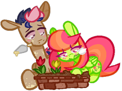 Size: 444x332 | Tagged: safe, artist:cloudyydaze, oc, oc only, oc:brick, oc:tulipa, earth pony, pegasus, pony, blushing, commission, commissioner:looji, cute, duo, female, floppy ears, flower, folded wings, garden, gardening, lying down, male, mare, mare oc, mouth hold, prone, shipping, simple background, stallion, stallion oc, transparent background, trowel, tulip, wings