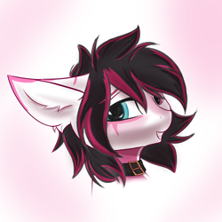 Size: 3000x3000 | Tagged: safe, artist:gooseshit, oc, oc:lunylin, pegasus, pony, bust, collar, colored belly, colored eyebrows, ear fluff, ear markings, facial markings, female, heterochromia, high res, mare, portrait, reverse countershading, solo, two toned mane