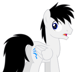 Size: 3619x3375 | Tagged: safe, artist:creedyboy124, oc, oc only, oc:shane park, pegasus, pony, g4, behind, butt, flank, high res, male, rear, shocked, simple background, solo, stallion, transparent background