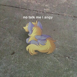 Size: 719x720 | Tagged: safe, alternate version, artist:lerkfruitbat, derpy hooves, pegasus, pony, g4, chest fluff, ear fluff, female, folded wings, irl, lying down, mare, meme, no talk me im angy, photo, ponified animal photo, ponified meme, ponyloaf, prone, road, shadow, solo, wings