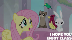 Size: 1920x1078 | Tagged: safe, edit, edited screencap, screencap, angel bunny, fluttershy, bird, ferret, g4, school daze