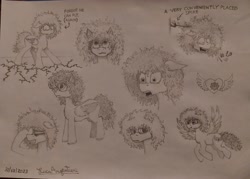 Size: 4074x2918 | Tagged: safe, artist:curly horse, oc, oc only, pegasus, pony, :3, bags under eyes, black and white, confused, curly hair, curly mane, ears back, facehoof, fluffy, folded wings, grayscale, heart, looking at you, monochrome, pegasus oc, pencil drawing, photo, ponysona, shocked, signature, simple background, sketch, sketch dump, spread wings, text, tired, traditional art, white background, wings
