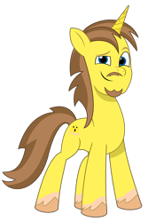 Size: 2344x3500 | Tagged: safe, artist:grapefruit-face, oc, oc only, oc:grapefruit face, pony, unicorn, g5, my little pony: tell your tale, facial hair, high res, looking at you, male, redesign, simple background, solo, transparent background