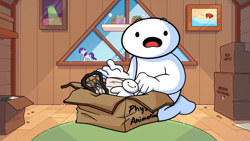Size: 1366x768 | Tagged: safe, artist:theodd1sout, rarity, human, pony, unicorn, g4, animated at source, animation before computers (theodd1sout), bicycle, box, james (theodd1sout), looking at you, pony cameo, solo, video at source, youtube, youtube link