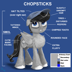 Size: 1850x1835 | Tagged: safe, artist:chopsticks, oc, oc only, oc:chopsticks, pegasus, pony, butt fluff, cheek fluff, chest fluff, chipped tooth, diagram, fluffy, hat, looking at you, male, not cute, reference sheet, simple background, smol, solo, stallion, text, unshorn fetlocks