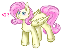 Size: 1248x872 | Tagged: safe, artist:delfinaluther, fluttershy, pegasus, pony, g4, chest fluff, doodle, ear fluff, simple background, sketch, solo, white background, wings