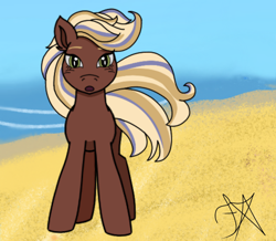 Size: 4000x3495 | Tagged: safe, artist:dawkinsdalmatian, horse, beach, female, outdoors, solo, tilly (wild manes), wild manes