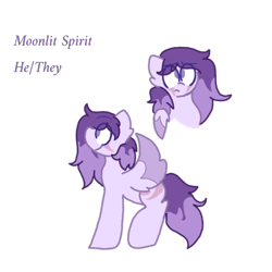 Size: 720x720 | Tagged: safe, artist:not-important, oc, oc only, oc:moonlit spirit, pegasus, pony, eye scar, facial scar, pegasus oc, ponified, reference sheet, scar, simple background, solo, transparent background, wings