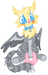 Size: 944x1478 | Tagged: safe, artist:peaceandlove26, oc, oc only, oc:gibby, griffon, g4, 2021, beak, blue eyes, blue pupils, coat markings, collar, colored legs, colored lineart, colored pupils, colored wings, colored wingtips, facial markings, feather, gray feathers, gray wingtips, griffon oc, next generation, old art, one wing out, parent:unknown, partially open wings, paws, simple background, socks (coat markings), solo, stripes, white background, wing stripes, wings