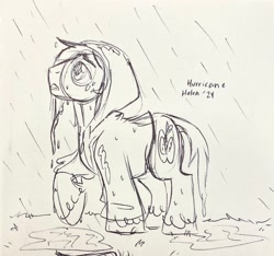 Size: 2048x1914 | Tagged: safe, artist:texacity, big macintosh, earth pony, pony, g4, grayscale, hurricane helene, looking up, male, monochrome, pen drawing, rain, raincoat, solo, stallion, traditional art, wet, wet mane