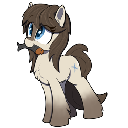 Size: 1500x1500 | Tagged: safe, artist:maretian, oc, oc only, oc:frosty flakes, earth pony, fish, pony, yakutian horse, chest fluff, cute, ear fluff, eye clipping through hair, female, food, looking up, mare, meat, mouth hold, ocbetes, ponies eating meat, simple background, solo, transparent background