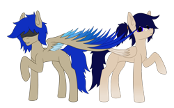 Size: 3218x1993 | Tagged: safe, artist:duskendraws, derpibooru exclusive, oc, oc only, oc:duraesmia, oc:nardaem, pegasus, pony, blindfold, brother and sister, female, male, siblings, simple background, transparent background, twins