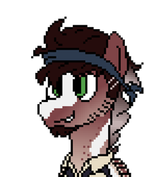 Size: 450x510 | Tagged: safe, artist:nukepony360, oc, oc only, oc:lucky shot, pegasus, pony, artfight, bandana, bust, clothes, digital art, facial hair, goatee, male, pirate, pixel art, portrait, shirt, simple background, solo, stallion, transparent background, vest