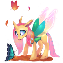 Size: 1000x1000 | Tagged: safe, artist:switchsugar, fluttershy, butterfly, changedling, changeling, collaboration:bestiary of fluttershy, g4, changedlingified, changelingified, collaboration, female, flutterling, simple background, solo, species swap, transparent background