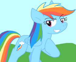 Size: 931x756 | Tagged: safe, artist:cmara, rainbow dash, pegasus, pony, g4, female, outdoors, solo