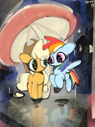 Size: 1170x1560 | Tagged: safe, artist:tieb5, applejack, rainbow dash, pony, g4, chibi, cute, dashabetes, duo, duo female, female, jackabetes, lesbian, rain, reflection, ship:appledash, shipping, umbrella