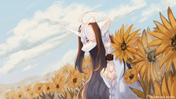 Size: 5760x3240 | Tagged: safe, artist:flightless birdie, oc, oc only, alicorn, pony, alicorn oc, braid, cloud, commission, female, field, flower, horn, mare, sky, slender, solo, sunflower, thin, wings, ych result