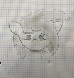 Size: 3024x3162 | Tagged: safe, artist:japkozjad, oc, oc only, oc:apply, pegasus, front view, graph paper, looking at you, male, male oc, pegasus oc, sketch, solo, stallion, stallion oc, traditional art