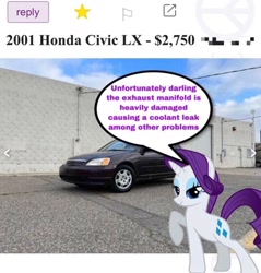 Size: 1125x1176 | Tagged: safe, edit, editor:kushblazer666, rarity, pony, unicorn, g4, car, english, female, horn, irl, mare, photo, raised hoof, solo, text