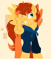 Size: 1334x1536 | Tagged: safe, artist:slushpony, oc, oc only, oc:cave glider, clothes, commission, happy, hoodie, looking up, male, simple background, smiling, solo, spread wings, stallion, standing, wings