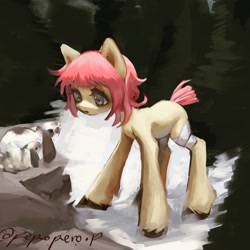 Size: 1440x1440 | Tagged: safe, artist:pepopero.p, oc, oc only, earth pony, pony, rabbit, animal, bandage, female, forest, looking at something, mare, nature, snow, solo, tree, unshorn fetlocks