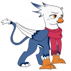 Size: 1614x1614 | Tagged: safe, artist:v_nico_, oc, oc only, oc:windchaser, griffon, beak, blue feather, clothes, feather, griffon oc, red scarf, scarf, simple background, sketch, solo, talons, white background