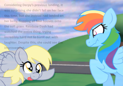 Size: 2555x1800 | Tagged: safe, artist:chaosimp2006, derpy hooves, rainbow dash, pegasus, pony, g4, cute, derpabetes, derpy being derpy, duo, duo female, female, lying down, narration, outdoors, raised hoof, roblox, show accurate, slapstick, stifling laughter