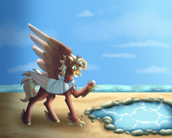 Size: 5192x4150 | Tagged: safe, artist:artistcoolpony, oc, oc only, oc:pearl diver, classical hippogriff, hippogriff, absurd resolution, bandage, bandaged wing, commission, hermit crab, ocean, one wing out, outdoors, solo, tide pools, water, wings