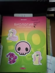 Size: 3000x4000 | Tagged: safe, fluttershy, pinkie pie, earth pony, pegasus, pony, g4, :p, biology, book, cyrillic, graph paper, irl, notebook, photo, russian, skull, sticker, tongue out