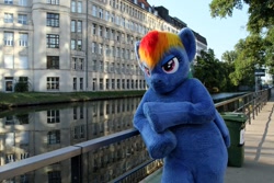 Size: 1200x800 | Tagged: safe, artist:atalonthedeer, rainbow dash, g4, 2016, canal, eurofurence, fursuit, irl, photo, ponysuit, solo