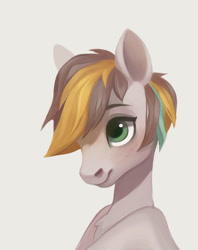 Size: 2375x3000 | Tagged: safe, artist:abri, oc, oc only, pony, chest fluff, simple background, solo