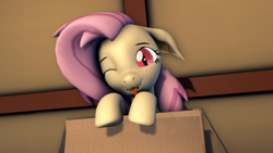 Size: 1920x1080 | Tagged: safe, artist:scorp125, fluttershy, bat pony, pony, g4, 3d, bat ponified, box, cardboard box, cute, female, flutterbat, fluttershy is best facemaker, indoors, looking at you, mare, one eye closed, pony in a box, race swap, shyabates, shyabetes, source filmmaker, tongue out, wink, winking at you