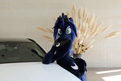 Size: 1200x800 | Tagged: safe, princess luna, g4, 2017, car, fursuit, indoors, irl, jewelry, photo, ponysuit, regalia, solo