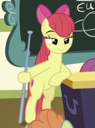 Size: 753x1007 | Tagged: safe, screencap, apple bloom, shuffle step, earth pony, pony, g4, growing up is hard to do, my little pony: friendship is magic, being big is all it takes, bipedal, cropped, indoors, lidded eyes, older, older apple bloom, pointer, ponyville schoolhouse, smiling, solo focus