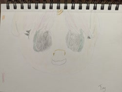 Size: 4080x3072 | Tagged: safe, artist:tinyequine, oc, oc only, oc:crafty circles, pony, unicorn, bust, colored pencil drawing, cute, female, filly, foal, horn, looking at you, pencil drawing, sketch, smiling, solo, traditional art