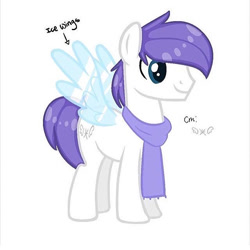 Size: 640x640 | Tagged: safe, oc, oc only, oc:arctic ace, pegasus, pony, clothes, ice, ice wings, male, scarf, simple background, solo, white background