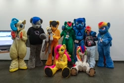 Size: 1200x800 | Tagged: oc name needed, safe, artist:atalonthedeer, derpy hooves, fluttershy, princess skystar, rainbow dash, oc, oc:collar dash, oc:kazagh, oc:torby, human, g4, 2018, eurofurence, fursuit, group photo, indoors, irl, irl human, photo, plushie, ponysuit