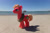 Size: 1095x730 | Tagged: safe, artist:dingopatagonico, big macintosh, earth pony, pony, g4, beach, outdoors, photo, solo, water