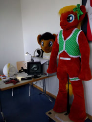 Size: 480x640 | Tagged: safe, artist:atalonthedeer, doctor whooves, time turner, oc, oc only, oc:boomerang bugger, galacon, 2012, fursuit, fursuit head, irl, photo, ponysuit, solo focus