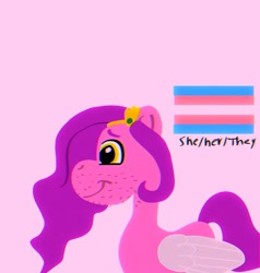 Size: 1050x1104 | Tagged: safe, alternate version, anonymous artist, derpibooru exclusive, pipp petals, pegasus, pony, g5, chromatic aberration, colored, facial hair, female, flat colors, grainy, male to female, minimalist, pride, pride flag, pronouns, rule 63, side view, simple background, smiling, solo, trans female, transgender, transgender pride flag