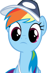 Size: 2800x4340 | Tagged: safe, artist:ryanthebrony, rainbow dash, pegasus, pony, g4, may the best pet win, my little pony: friendship is magic, cap, coach rainbow dash, female, hat, mare, simple background, solo, transparent background, vector