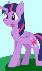 Size: 640x1064 | Tagged: safe, artist:cmara, twilight sparkle, alicorn, pony, g4, female, mare, outdoors, solo, twilight sparkle (alicorn)