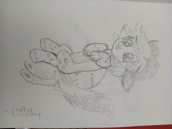 Size: 4080x3060 | Tagged: safe, artist:craftycirclepony, oc, oc only, cute, female, lying down, pencil drawing, sketch, solo, tongue out, traditional art