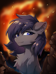 Size: 2048x2732 | Tagged: safe, artist:gale spark, oc, oc only, pony, chest fluff, smiling, solo