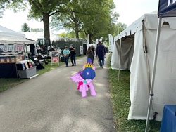 Size: 2016x1512 | Tagged: safe, artist:mtnproductions, gameloft, twilight sparkle, alicorn, pony, g4, dutchess county fair, irl, new york, outdoors, photo, ponies in real life, rhinebeck, twilight sparkle (alicorn)