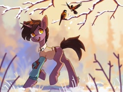 Size: 1949x1454 | Tagged: safe, artist:koviry, oc, oc only, oc:kara, bird, pony, robin (bird), unicorn, 2020, blank flank, blurry background, brown mane, brown tail, butt fluff, clothes, ear fluff, horn, leg fluff, old art, open mouth, open smile, orange eyes, outdoors, raised hoof, raised leg, red coat, smiling, snow, solo, standing on two hooves, sweater, tail, thin, three quarter view, unicorn horn, unicorn oc, walking, winter