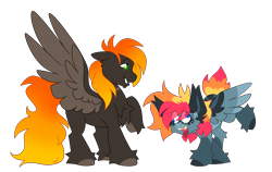 Size: 7909x5008 | Tagged: safe, artist:crazysketch101, oc, oc only, oc:ashton burnside, oc:crazy looncrest, pegasus, pony, chest fluff, derp, duo, ear fluff, eye clipping through hair, fluffy, goofy, ship:burncrest, simple background, smiling, transparent background